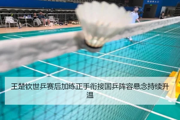 王楚钦世乒赛后加练正手衔接国乒阵容悬念持续升温
